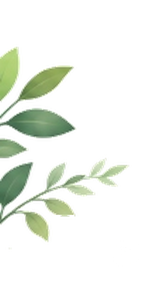 Olive Branch Left